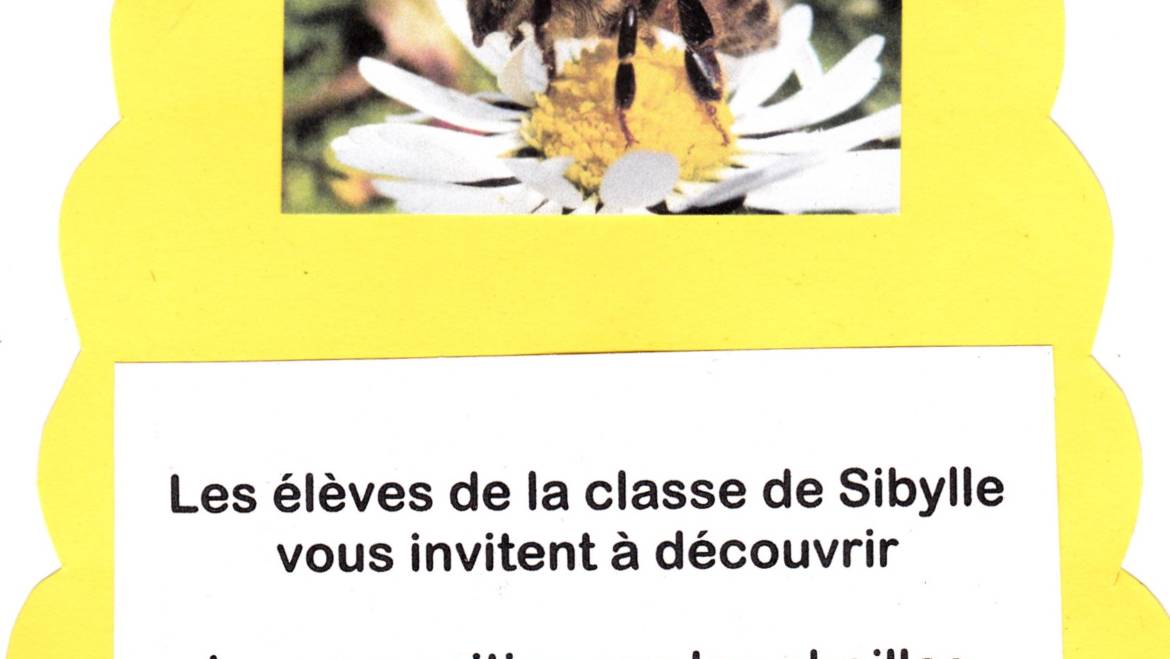 Exposition sur les abeilles à l’école maternelle des Calanques 2019-01-11