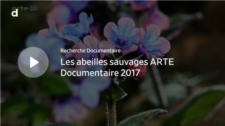 Les abeilles sauvages ARTE Documentaire 2017
