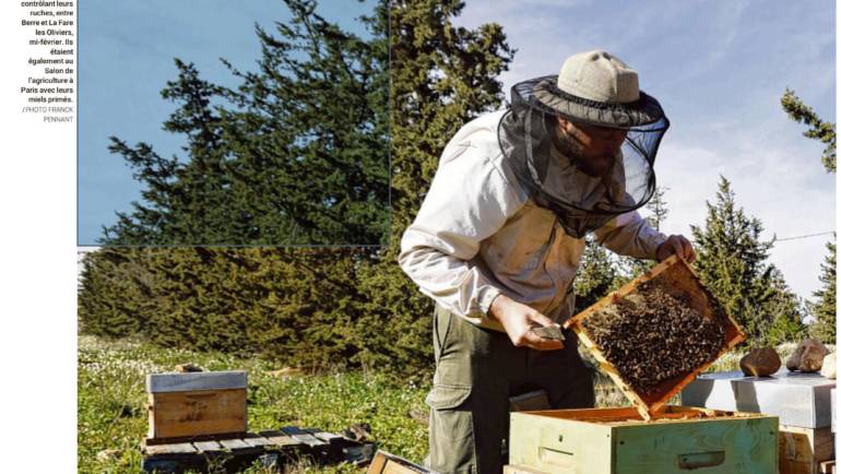 2024-03-03 Article LaProvence : Les apiculteurs vont-ils s’en sortir ?