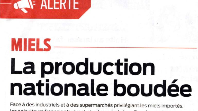 2024-09-04 Article de « Que choisir ? » Miels, la production nationale boudées