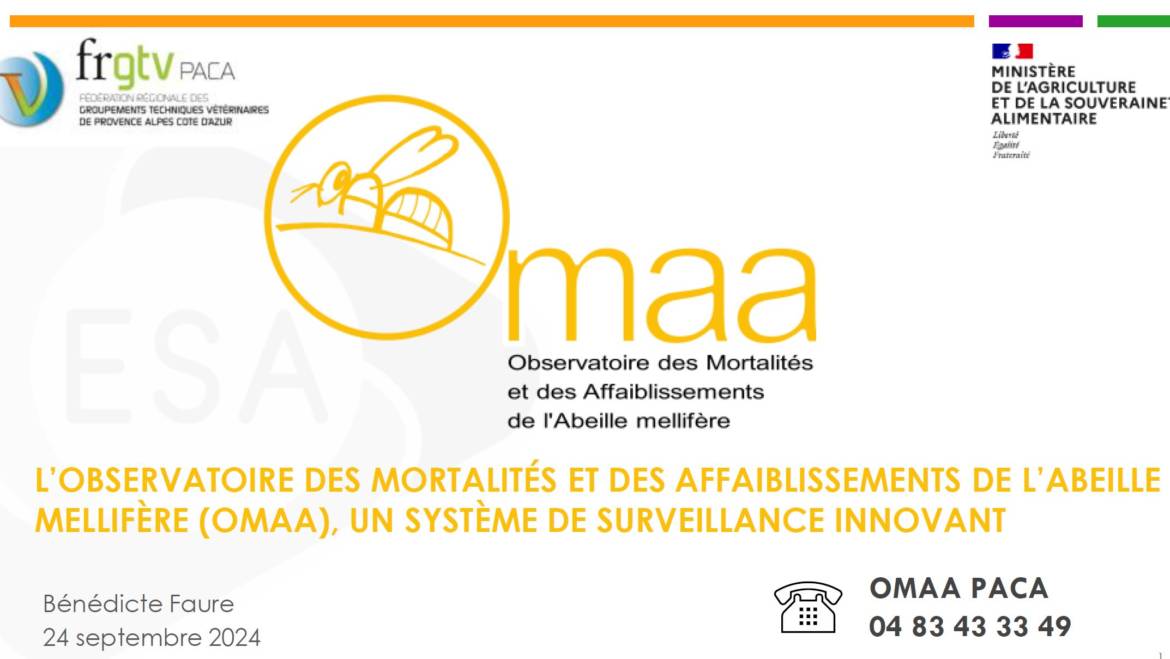 2024-09-24 Diaporama sur la présentation de OMAA.