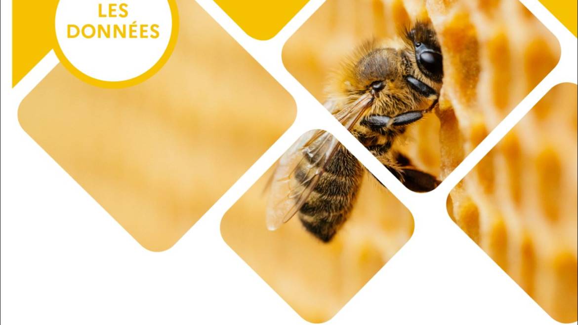 FNOSAD Bilan de campagne miel 2023
