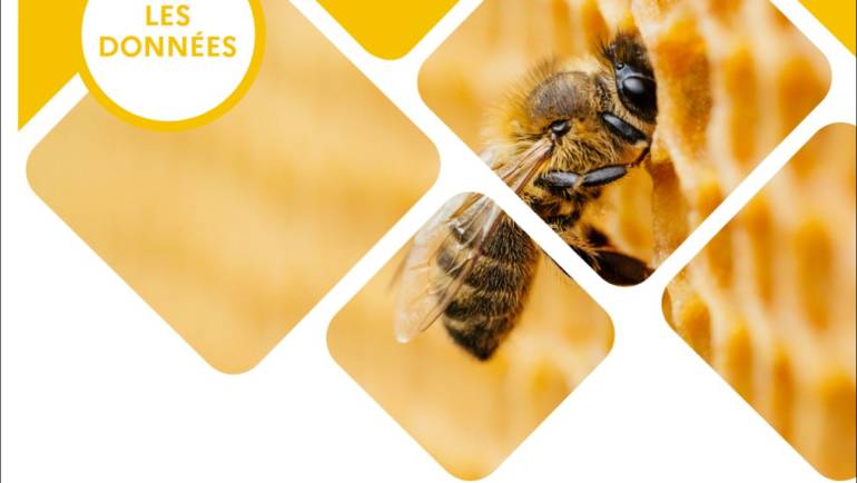 FNOSAD Bilan de campagne miel 2023
