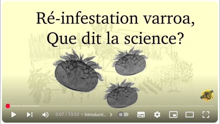 Ré-infestation Varroa. Que dit la science ?