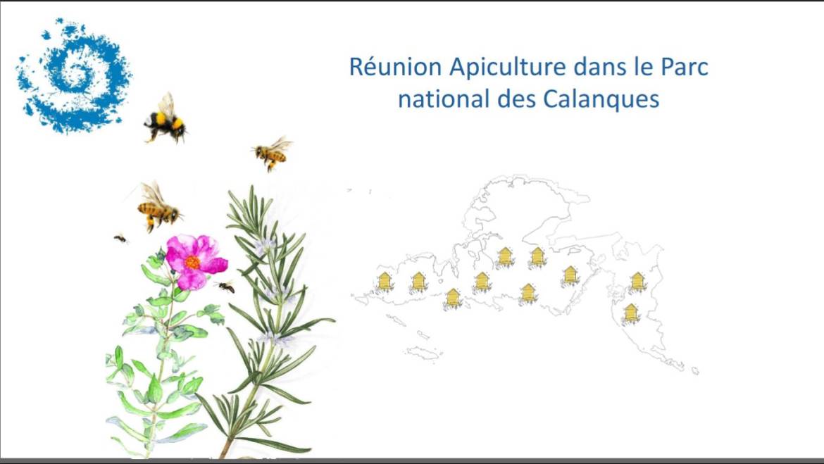 2026-01-13 Réunion des apiculteurs installés dans le Parc national des calanques