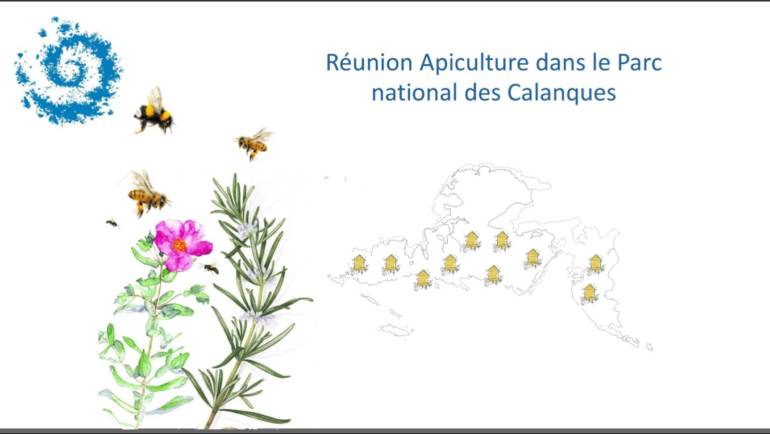 2026-01-13 Réunion des apiculteurs installés dans le Parc national des calanques