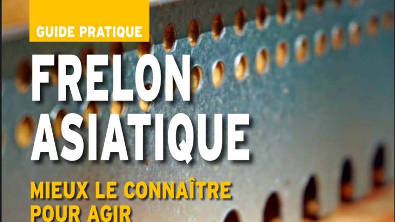 UNAF Guide Pratique Frelon Asiatique 2025
