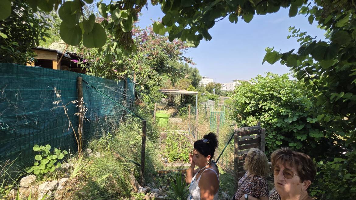 2026/06/24 2° Réunion d’échange inter-quartiers Calanques, au lotissement les Néreïdes-Bosquet dans les jardins partagés.